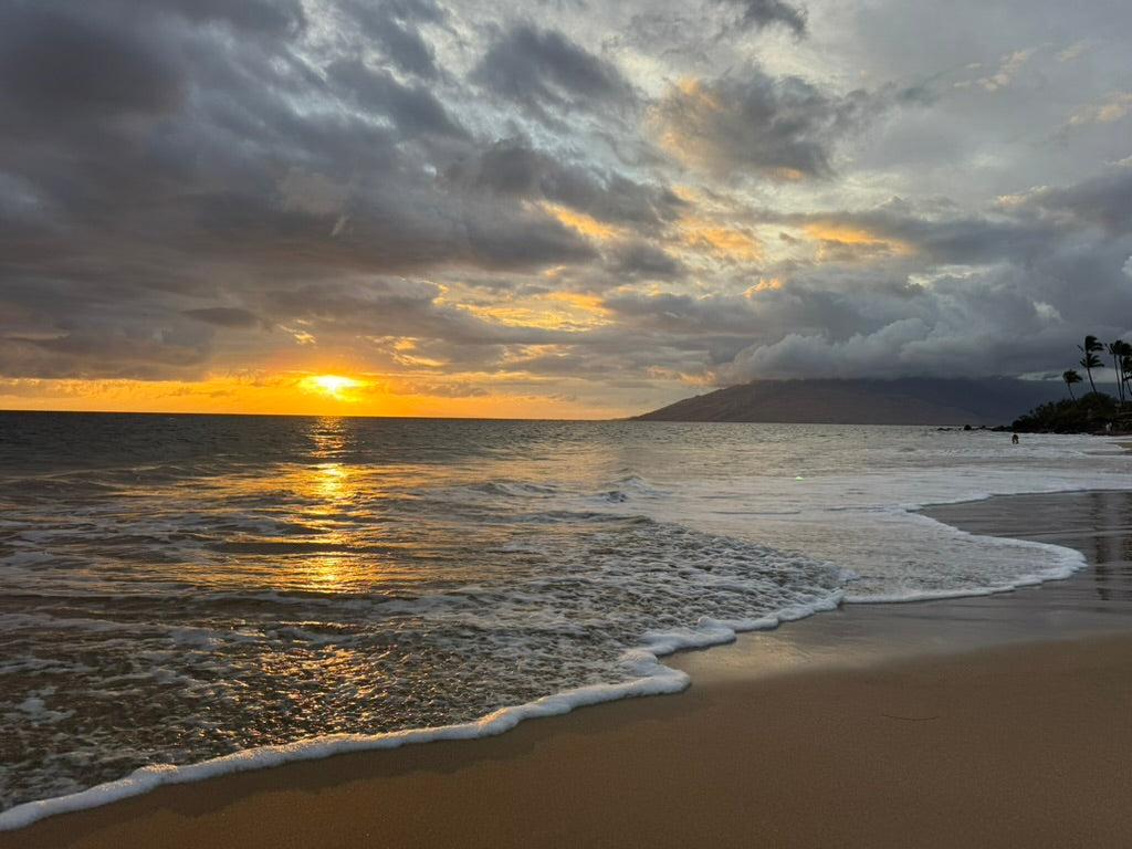 Golden sunset light reflected in the ocean, with gentle waves washing onto the beach.